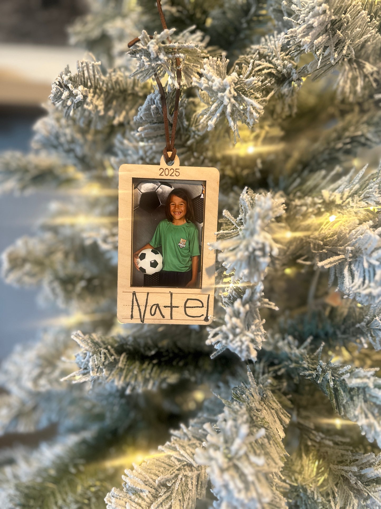 School Year Ornament