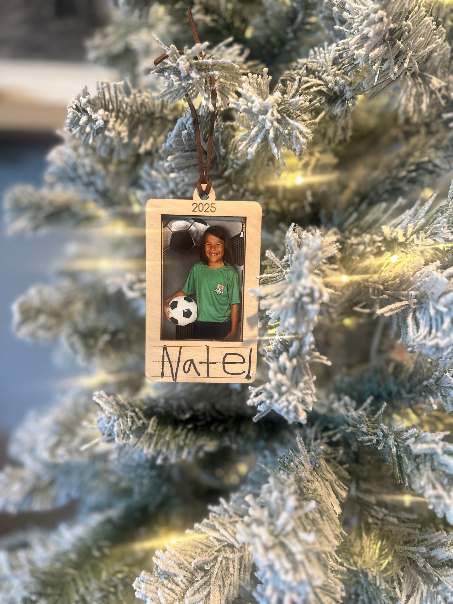 School Year Ornament